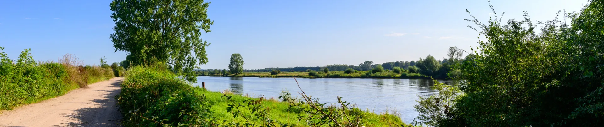 Nederlands landschap met fietspad langs de rivier de Maas